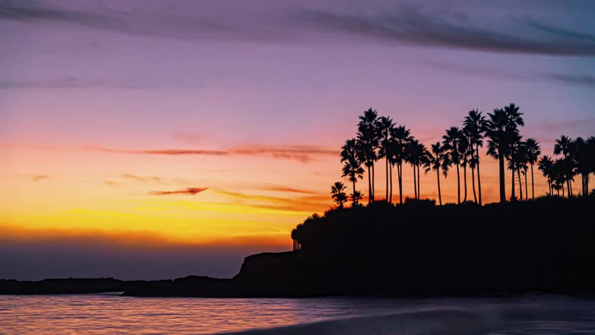The silhouette of a grove of palm trees can be seen atop a cliff at sunset