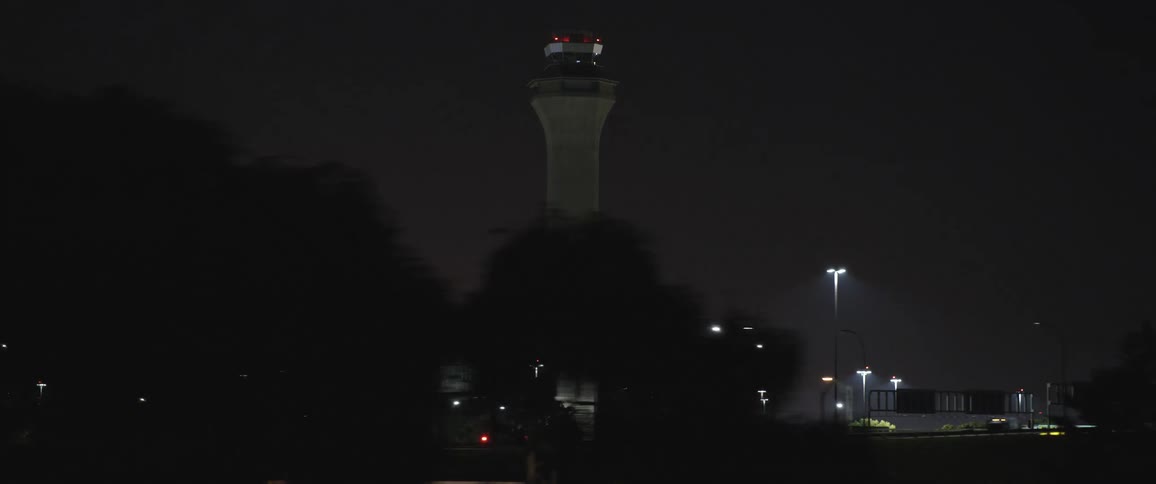 A tower and silhouetted trees in a city at night