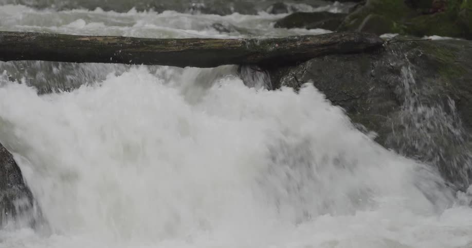 A river flowing in rapids over rocks with a fallen log