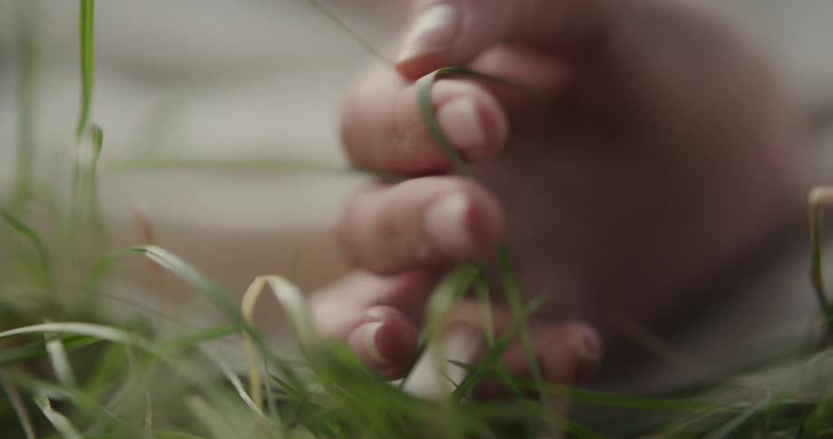 A hand with long nails touches blades of grass outdoors