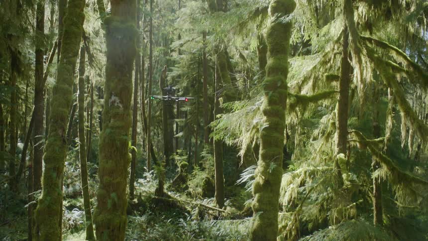 Counter tilt of a six rotor drone ascending through the trees in a forest on a sunny day