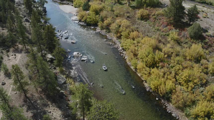 Boat drifts along river past conifer forest