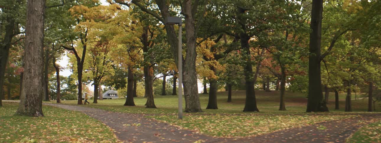 A split path through a public park on an autumn day
