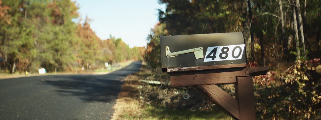 Mailbox at the side of a rural road in the forest at morning