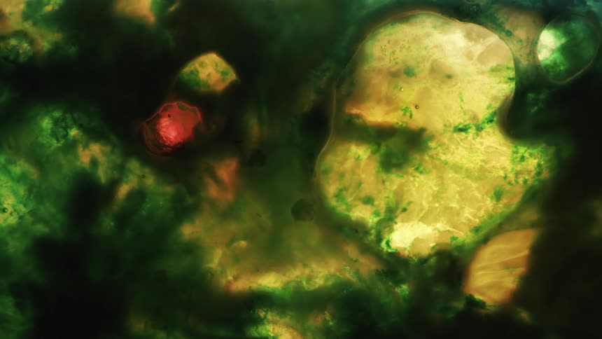 Green yellow black ink floating forming abstract patterns spreading