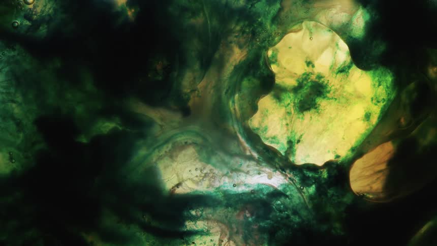 Green yellow and black liquid ink form abstract patterns
