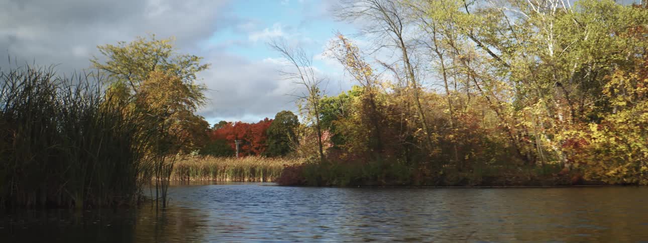 Beautiful colored trees along the river on a cloudy day
