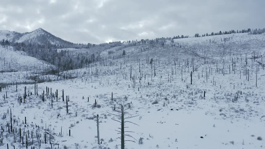 An aerial view of snow covered hills and forest