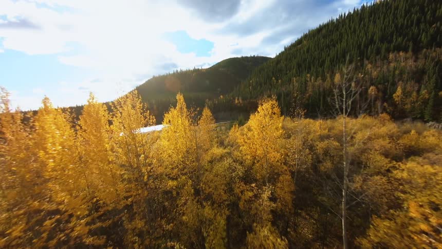 Trees with yellow leaves sit near the lake at the base of the tree covered mountains