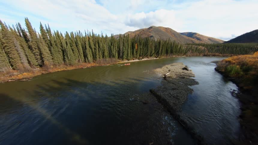 Aerial view of a red boat going down a river through the pine forest in Alaska