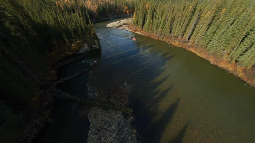 An aerial view of a person boating on a river in the middle of a forest