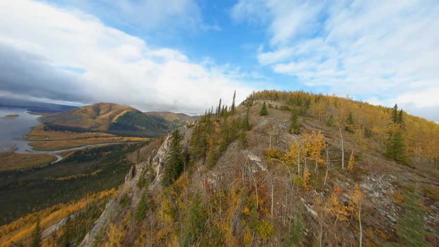 A mountain range and forest on the shore