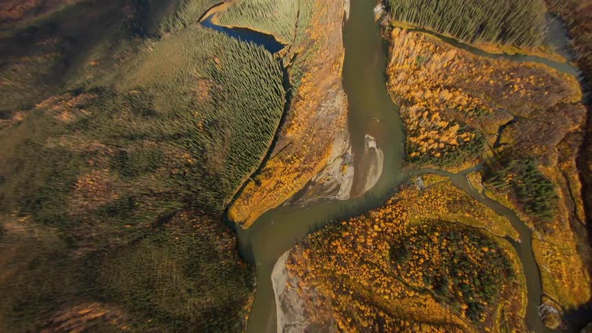 An aerial view of a river and forest