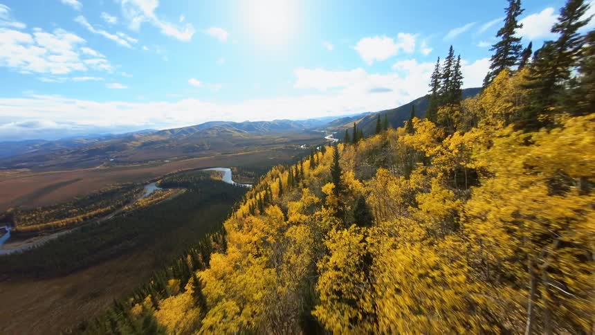 An aerial view of a forest with a river below it
