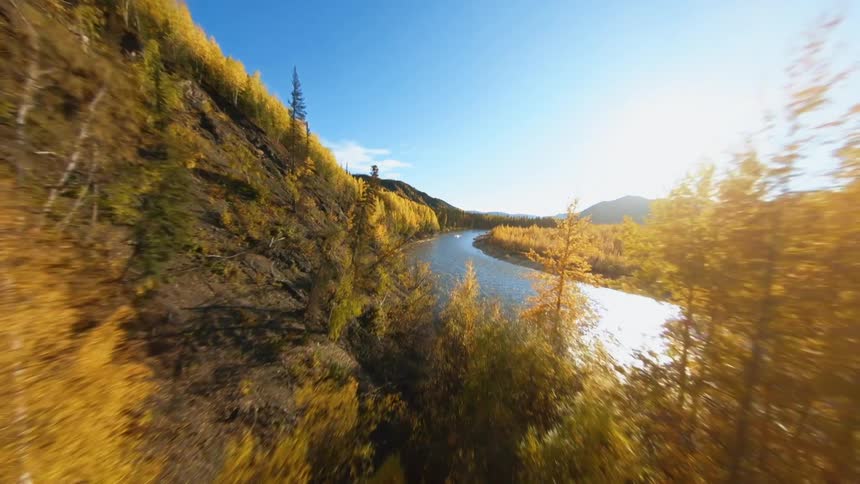 Drone flying through forest