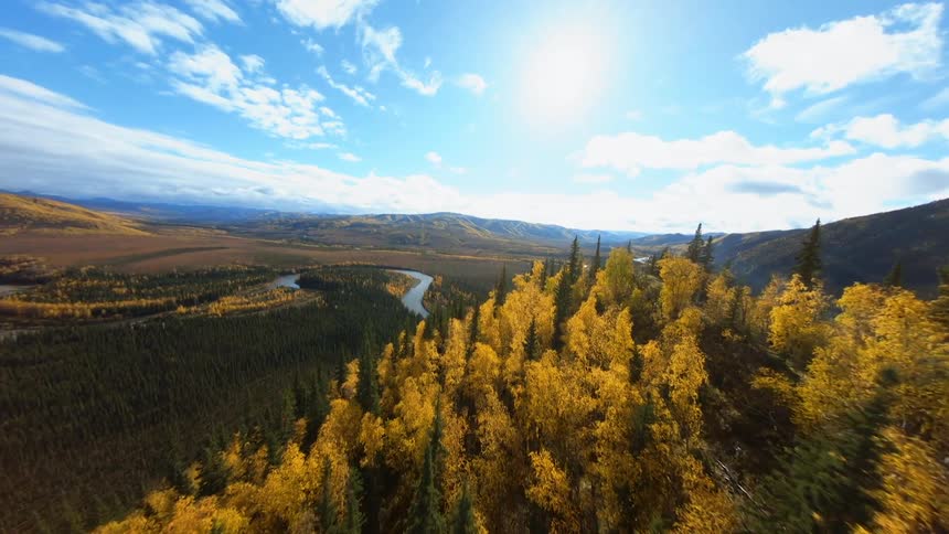 Flying through a sunny yellow and green forest with a river in the valley
