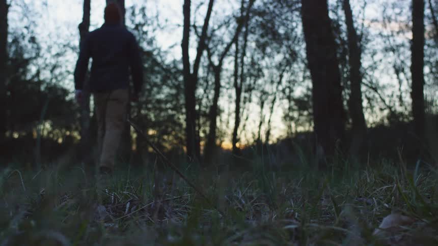 A man walking through a forest at sunset