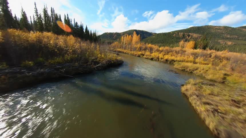 The stream runs through the field in vibrant fall colors
