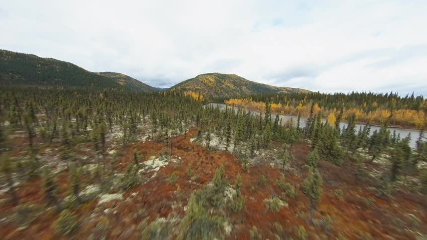 Flying over a forest and river with mountains in the distance