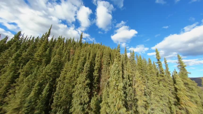 Aerial of forest and mountain side on a blue sky