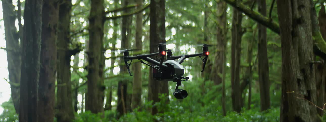 Drone with a camera hovering in a clearing on a forest at day time