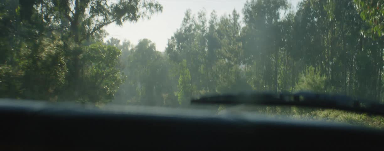 A vehicle driving through a forest area