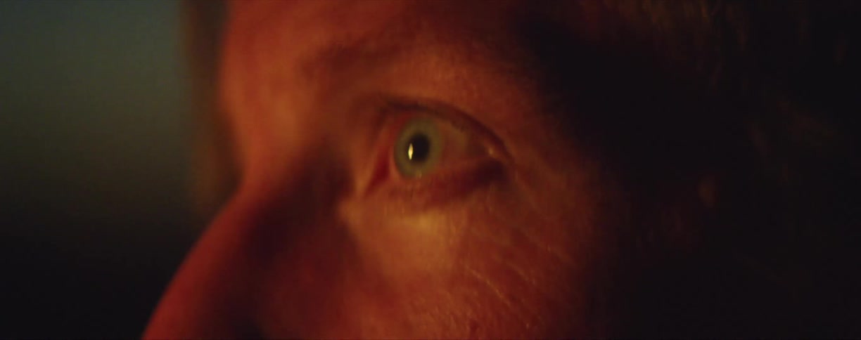 Close up of a womans green eye looking at flames outdoors at evening