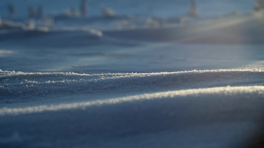 A field covered in snow
