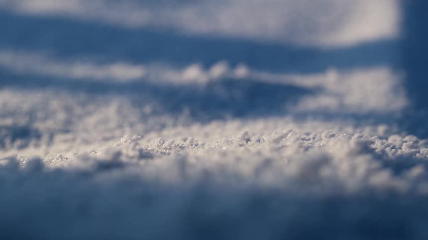 Frost and snow covering the ground in winter