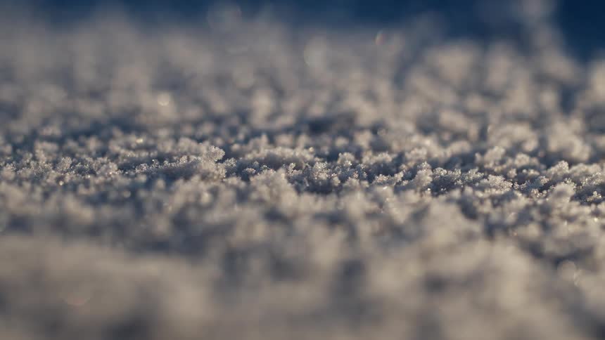 A close up of a textured surface