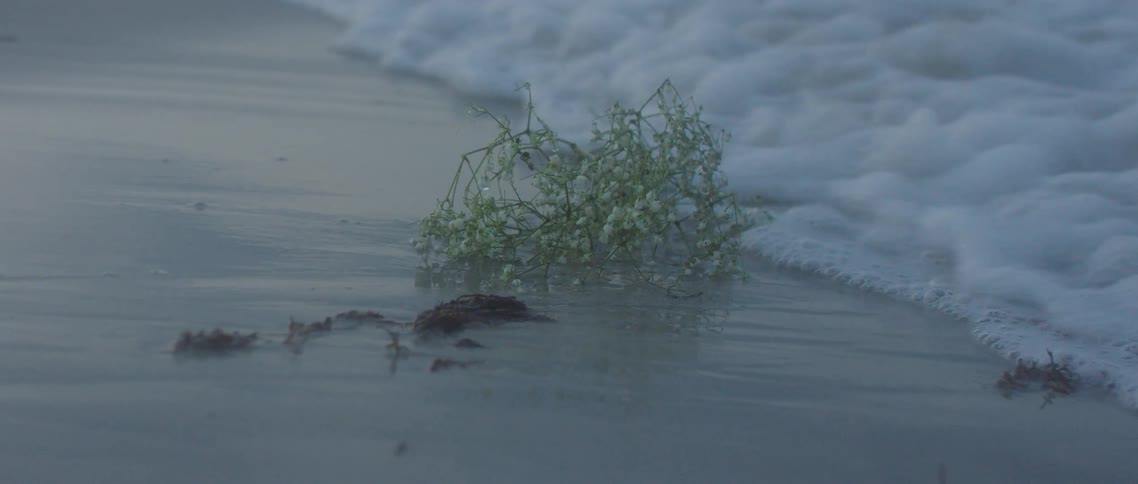 A beach with some debris on it