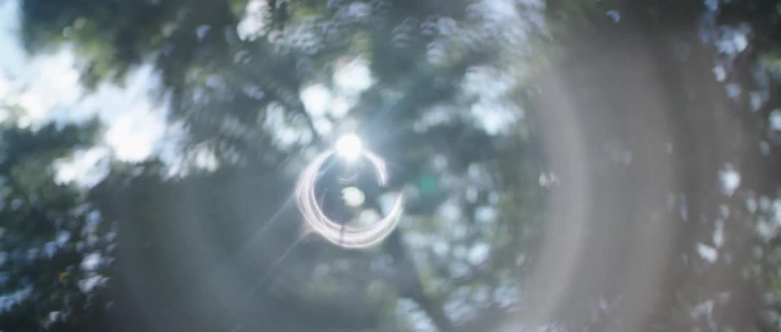 Sunlight glare on trees during the day
