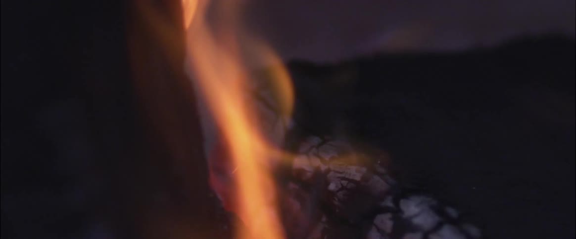 A log is blackened and continues to burn with a flame