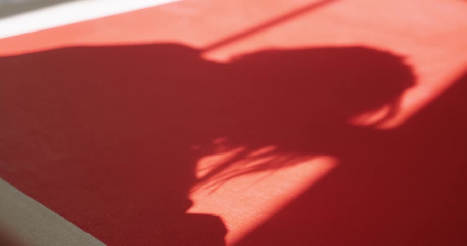 Shadow of a woman casts on a red poster with a white outlining while she paints the edges with a paintbrush