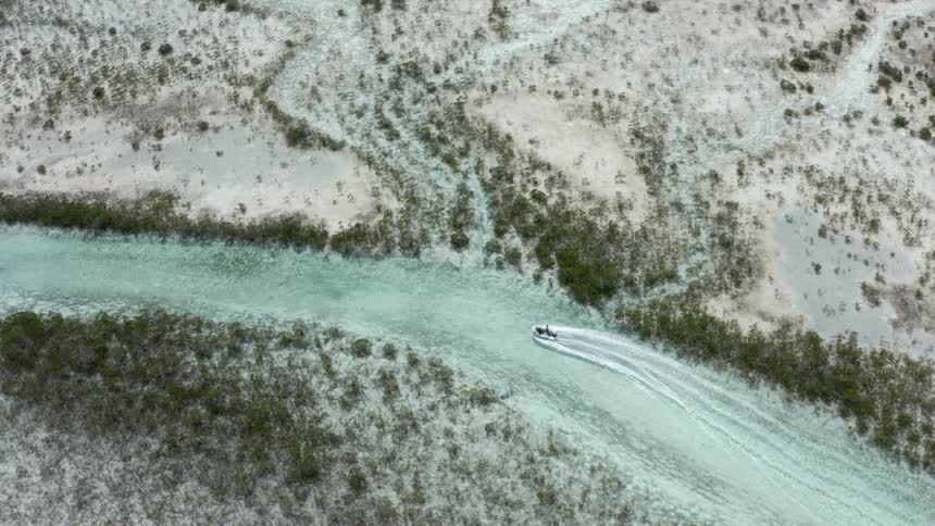A boat going down a river