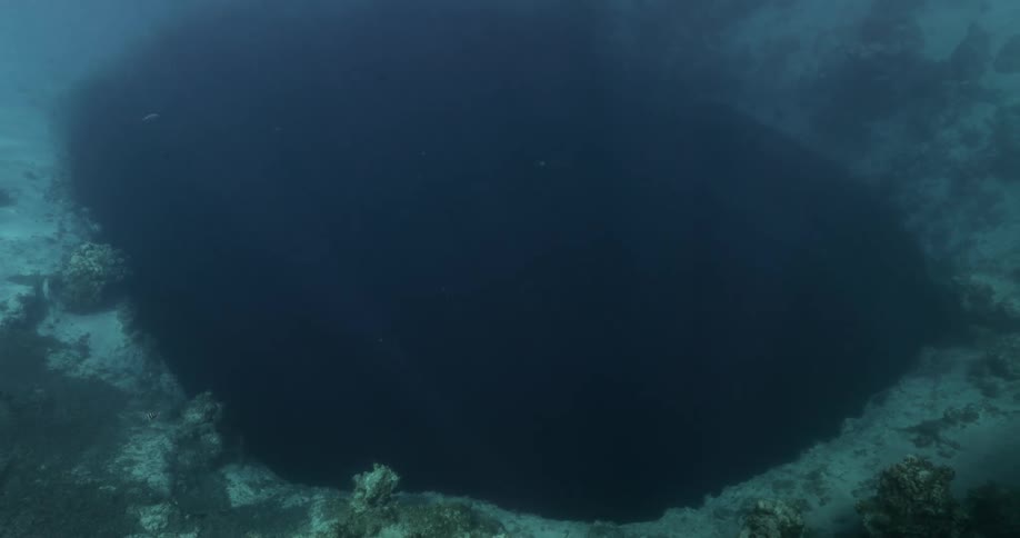 Deans Blue Hole in the Bahamas Underwater