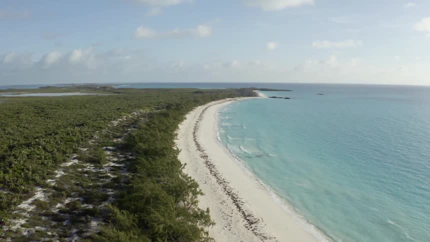 An aerial view of waves rolling in to a beach on the shoreline