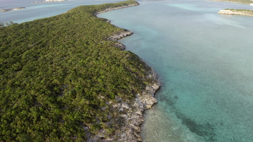 An aerial view of the coast on an island covered in green vegetation at daytime