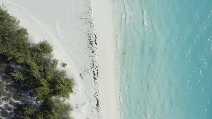 Aerial view of the tide moving in on a white sand beach at daytime