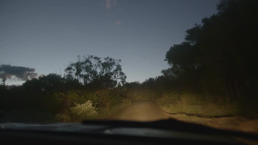 A car driving down a trail