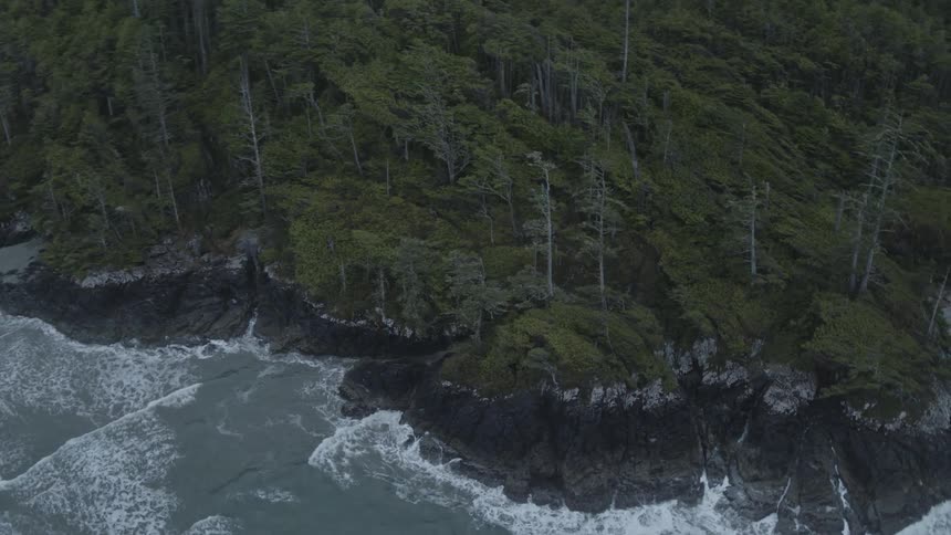 Waves are lapping at a rocky shore near a forest