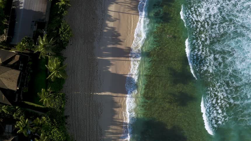 Man going surfing in an empty beach at a sunny day