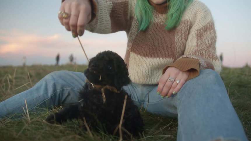 A young woman sitting in a grass field playing with a small black puppy in the evening