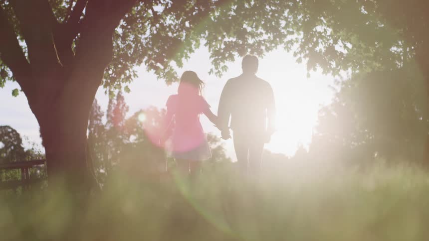 The silhouette of a woman carrying a picnic basket holding hands with a man as they walk through a field on a sunny day