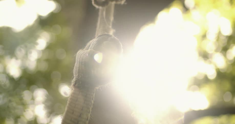 Sun flares onto a knot in a rope tied to a tree at daytime