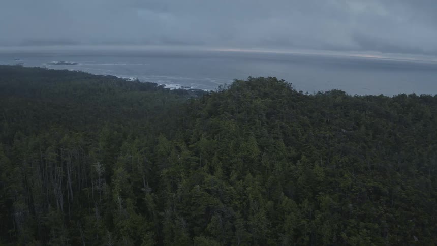 Aerial view of a forested mountaintop next to the coastline
