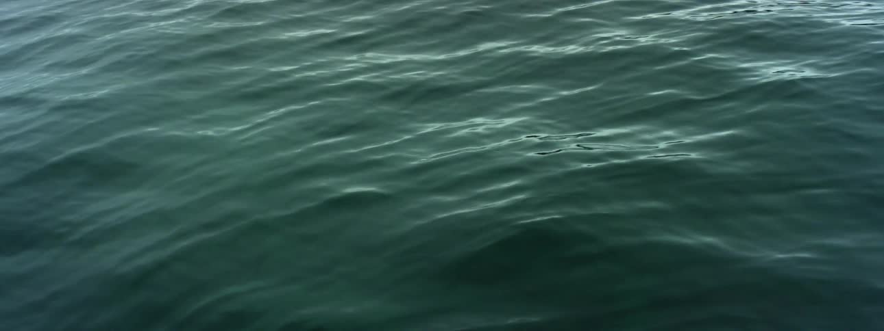 Water rippling with light reflecting on it