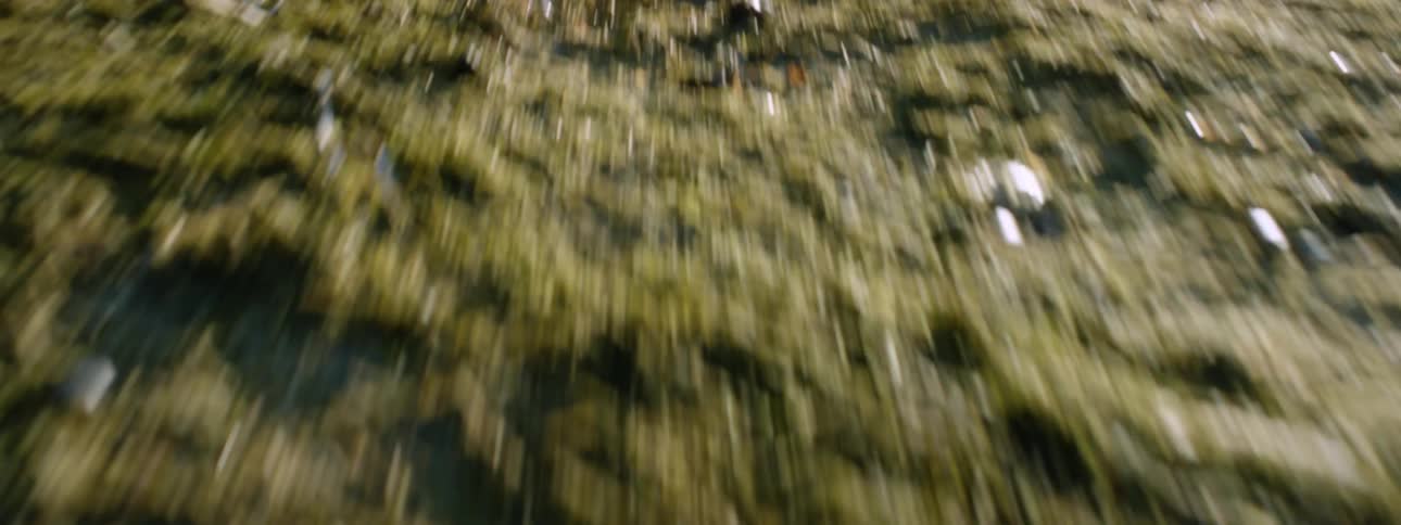 Point of view shot running on a grass or moss field at day time
