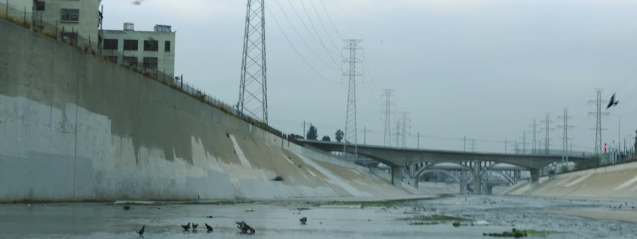 Pigeons flying around inside of a waterway under a bridge in a city at daytime