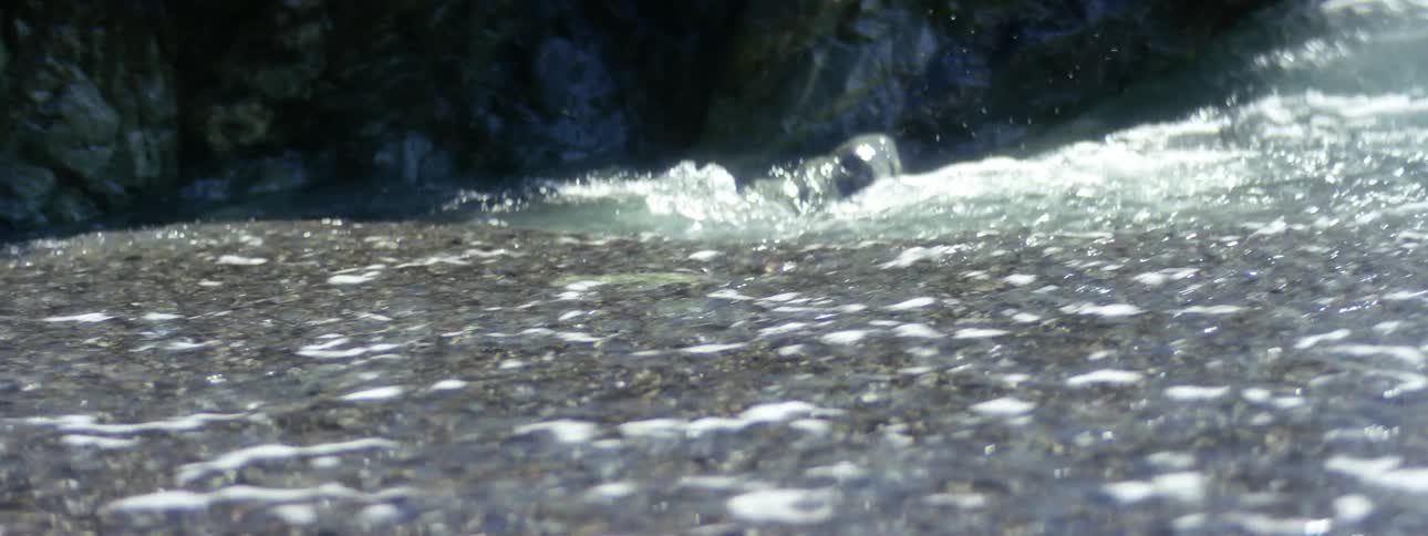 A moving shot of a river rapids